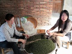 -福建土楼（华安）旅游区•大地土楼群