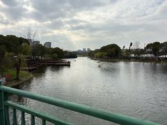 -新江湾城公园
