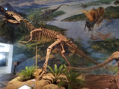 -自贡恐龙博物馆