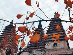 -北京石刻艺术博物馆(五塔寺)