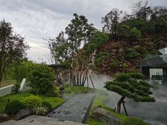 -雅苑中餐厅