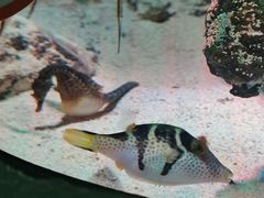 -沈阳海洋探索中心