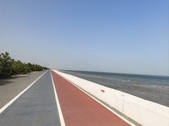 -日照海滨国家森林公园