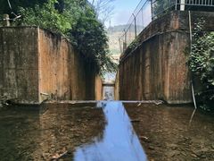 -云南屏边大围山国家公园
