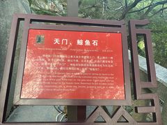 -乌山风景区
