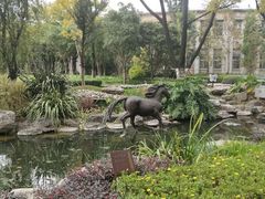 -云南省图书馆