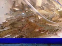 -官塘锋记鱼生·生腌·砂锅粥(牌坊街店)