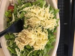 -油梨树 AVOCADO TREE(亮马桥店)