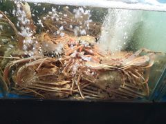 -蟹之国·精品蟹料理(极地店)