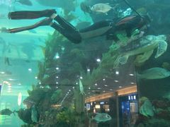 -鸿通城购物中心