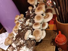 手剪香菇-谭鸭血老火锅(漳州路店)