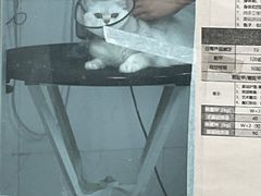 -艾贝尔宠物医院 ·中兽医·宠保定点(北门桥店)