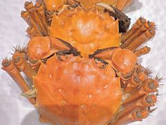 -柴火大院烤鸭民间菜