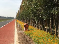 -上海长兴岛郊野公园