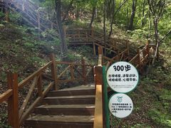 -大岭沟猕猴桃谷风景区