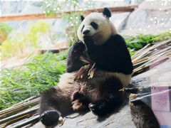 -乐和乐都主题乐园