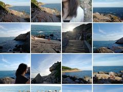 -广东惠东海龟国家级自然保护区