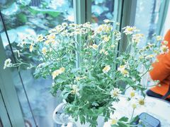 -绿房子方寸咖啡(星海名城店)