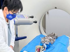 -北京观赏动物医院·24小时大型综合·猫专科·异宠专科