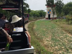 -武汉紫薇都市田园