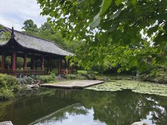 -杭州植物园