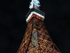 -东京塔海贼王主题公园