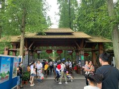 -东平国家森林公园