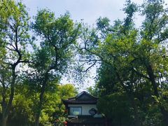 -星巴克臻选(扬州瘦西湖文化广场店)