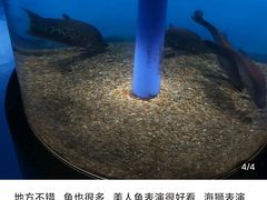 -沙沙哗啦海洋馆(华宇百花谷店)