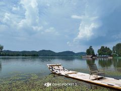 -东湖落雁景区