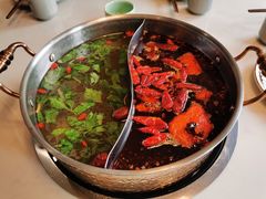 -菌子鲜汤野生菌锅