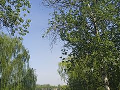 -国家图书馆·古籍馆