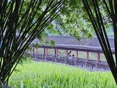-龙头寺公园