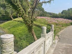 -韩湘水博园