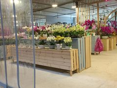 -三圣花乡旅游区