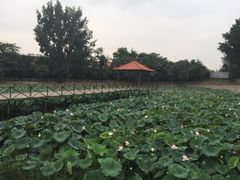 iphone_upload_pic-意大利农场度假村