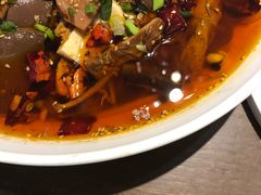 毛血旺-梧桐树下(云锦世家店)