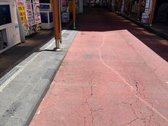-西归浦每天偶来市场
