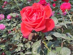 -人民公园(罗湖区)