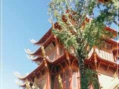 -龙潭水乡