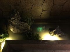 -绿茶餐厅(布吉万象汇店)