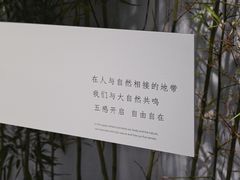 -嘉德艺术中心