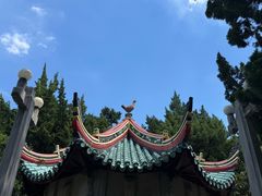 -叶家花园