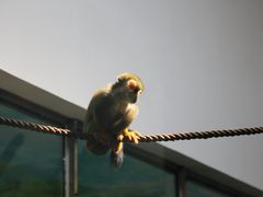 -西安秦岭野生动物园