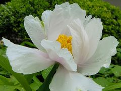 -狼山风景名胜区