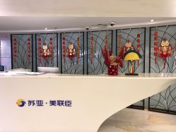 -石家庄苏亚美联臣医疗美容医院