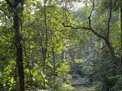 -佛山市三水区大南山森林公园