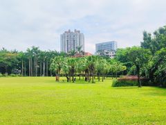 -东风公园