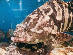 -吕氏疙瘩汤·私家菜馆(慈云寺店)