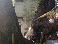 -上坦村